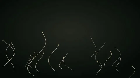 Cream aquatic plants for underwater visuals. Organic nature motion graphic for Stock Footage 342622881