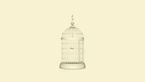 Cream Birdcages Stock-Footage 145763541