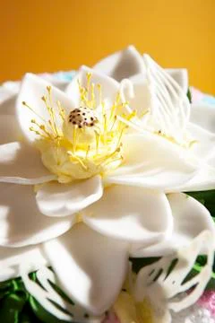 Cream cake Stock Photos
