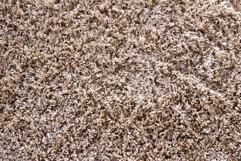 Cream carpet texture - abstract background Foto stock