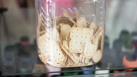 Cream cracker biscuit inside a bottle. Stock Footage 137685497