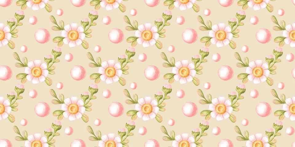 Cream daisy pearl pattern Stock Illustration