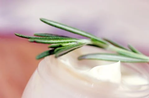 Cream with leaf of lavender. Stock Photos