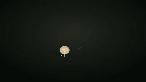 Cream mushroom spores for forest magic visuals. Organic nature motion graphic Stock Footage 342622862
