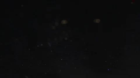 Cream shimmer falling on the black background, abstract slow motion Stock Footage 75974013