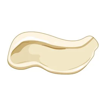 Cream smear texture element for cosmetic background Stock Illustration