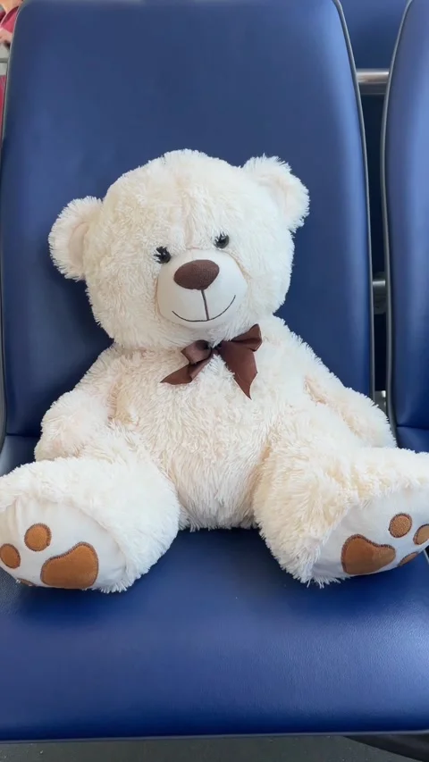 Cream teddy bear with brown bow seated on blue vinyl row chair Stock Footage 341671803