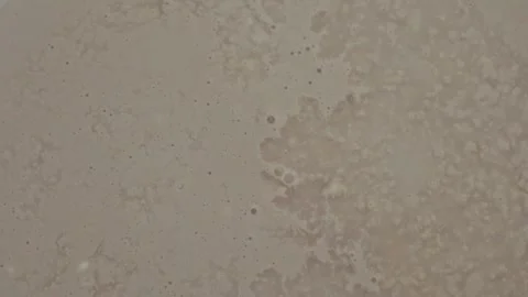 Creamy beige liquid surface with small bubbles and abstract patterns create.. Stock Footage 339080822