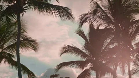 Creamy Caribbean Sunset Video stock 254580073