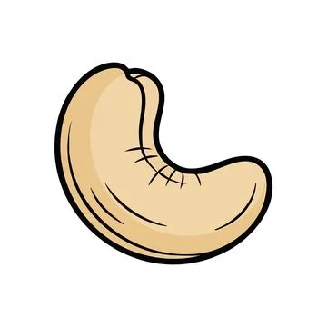 Creamy Cashew Nut Kernel. This rich anacardium seed offers a wholesome, nat.. Stock Illustration