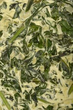 Creamy spinach Stock Photos