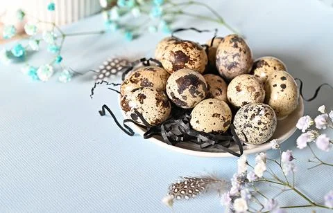 Create an Easter composition of Easter quail eggs and flowers on a blue bac.. Stock Photos