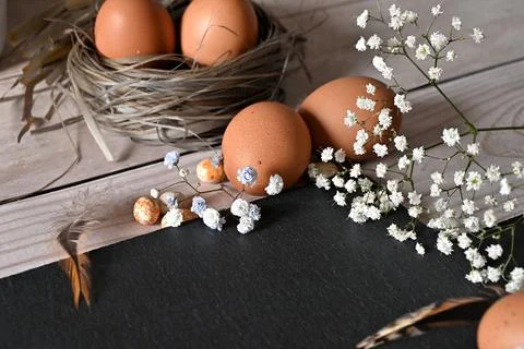 Create an Easter composition of Easter quail eggs and flowers on a white wo.. Stock Photos