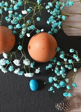 Create an Easter composition of Easter quail eggs and flowers on a white wo.. Stock Photos