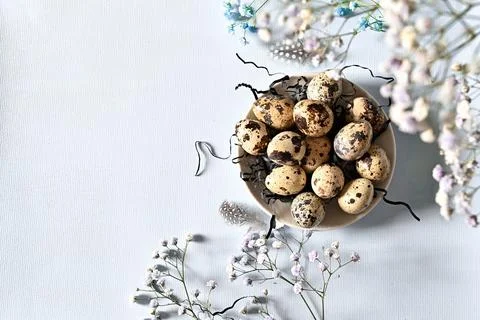 Create an Easter composition of Easter quail eggs and flowers on a blue bac.. Stock Photos