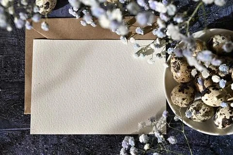 Create an Easter composition of Easter quail eggs and flowers on a white wo.. Stock Photos