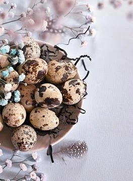 Create an Easter composition of Easter quail eggs and flowers on a blue bac.. Stock Photos