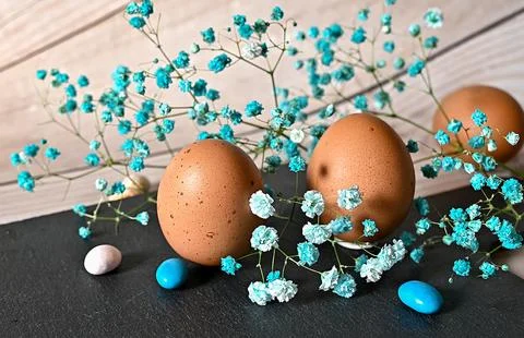 Create an Easter composition of Easter quail eggs and flowers on a white wo.. Stock Photos