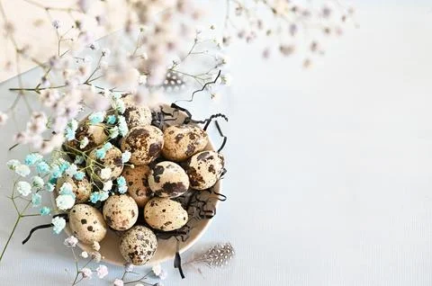 Create an Easter composition of Easter quail eggs and flowers on a blue bac.. Stock Photos
