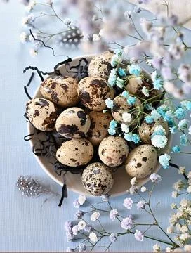 Create an Easter composition of Easter quail eggs and flowers on a blue bac.. Stock Photos