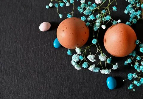 Create an Easter composition of Easter quail eggs and flowers on a white wo.. Stock Photos