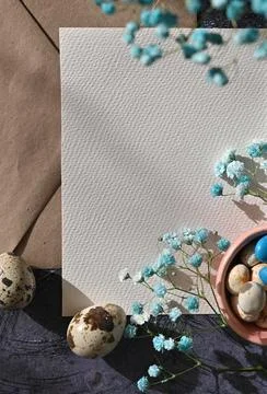 Create an Easter composition of Easter quail eggs and flowers on a white wo.. Stock Photos