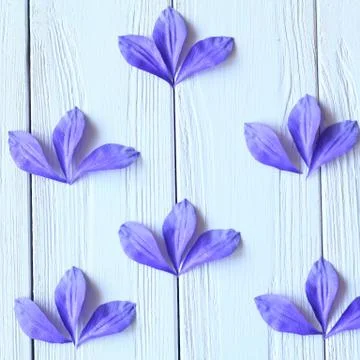 Create handmade flowers. Workflow, tools and materials. Stock Photos