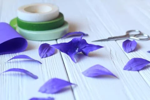 Create handmade flowers. Workflow, tools and materials. Stock Photos