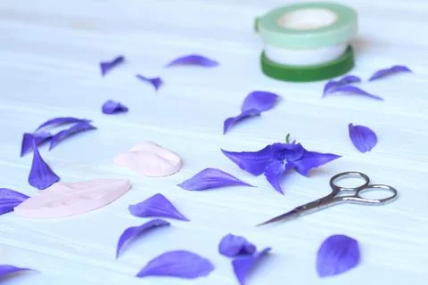 Create handmade flowers. Workflow, tools and materials. Stock Photos