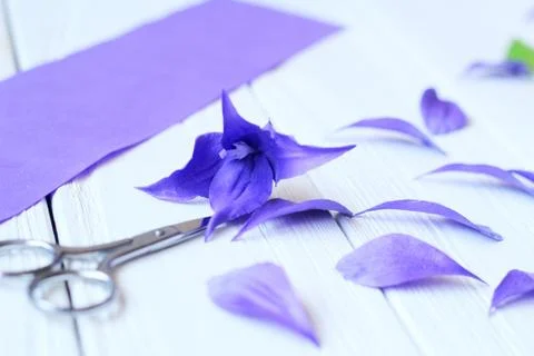 Create handmade flowers. Workflow, tools and materials. Stock Photos