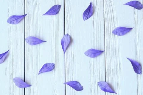 Create handmade flowers. Workflow, tools and materials. Stock Photos