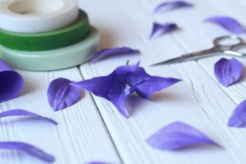 Create handmade flowers. Workflow, tools and materials. Stock Photos