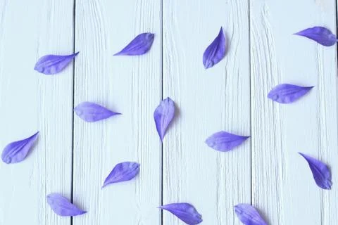 Create handmade flowers. Workflow, tools and materials. Stock Photos