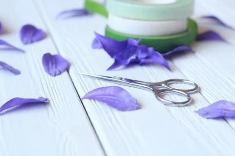 Create handmade flowers. Workflow, tools and materials. Stock Photos