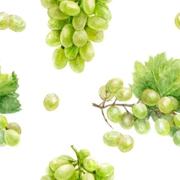 Create a lively design with green grapes and leaves in a seamless watercolor Stock Illustration