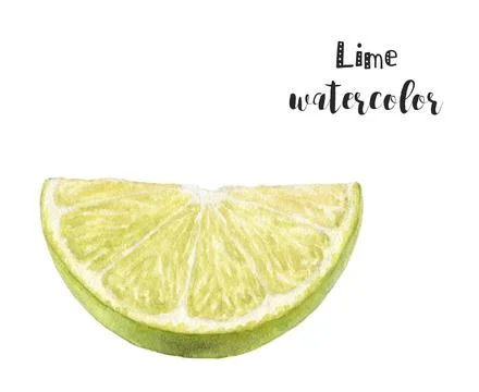 Create a watercolor illustration of a lime slice that is fresh, vibrant, and Stock Illustration