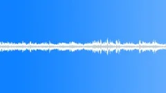 CREATED AMBIENCE DIGITAL AVIARY STEREOSound Effect
