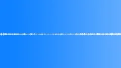 CREATED AMBIENCE MARCHING INSECTS LOOP STEREO Sound Effect