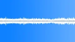 CREATED AMBIENCE NOCTURNAL CHORUS STEREO Sound Effect