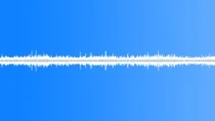 CREATED AMBIENCE REVERSE SQUIRRELS STEREO Sound Effect