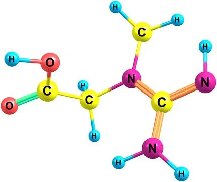 Creatine molecular structure isolated on white Stock Illustration
