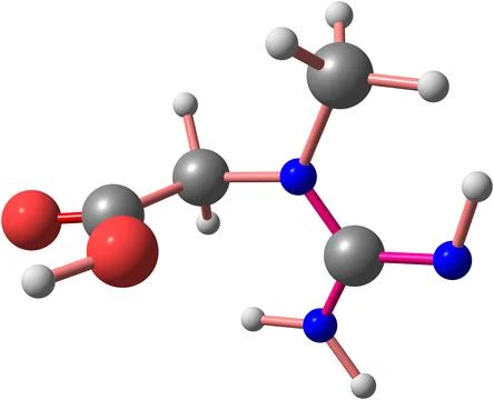 Creatine molecular structure isolated on white Stock Illustration