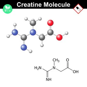 Creatine molecule Ilustración de archivo