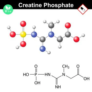 Creatine phosphate molecular structure Stock Illustration