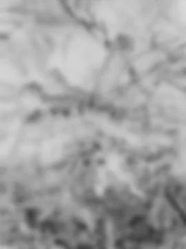 Creating abstract cloudy texture filling overcast gray sky background Foto stock