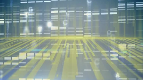 Creating animation of digital data streams and coding patterns for school Stock Footage 304203250