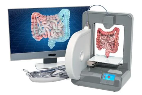 Creating artificial bowel on three dimensional printer, 3d printing in medici Stock Illustration