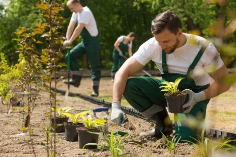 Creating a beautiful garden from scratch Stock-Fotos