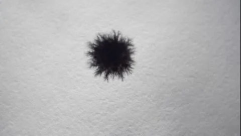 Creating a Black Blot on a White Sheet of Paper. Background. Abstraction. Stock Footage 150431568