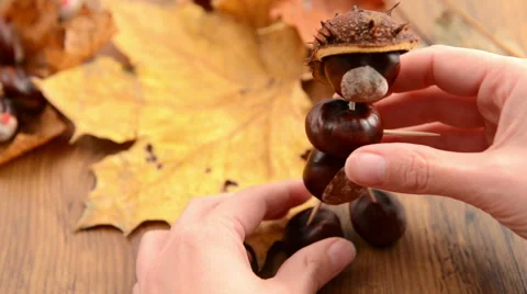 Creating chestnut manniquen Video stock 43294779